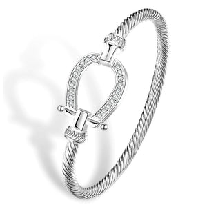 Pour quels bijoux opter lorsque l’on fait du cheval ?