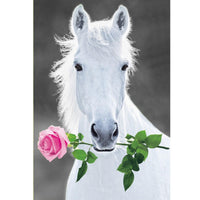 Affiche Poster sur toile imprimé HD - Cheval et rose