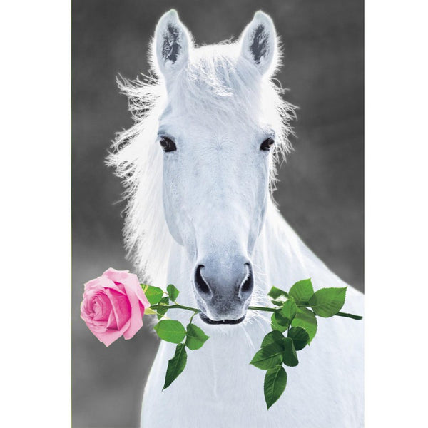 Affiche Poster sur toile imprimé HD - Cheval et rose