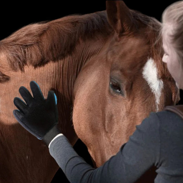 Gants de pansage cheval et toilette chiens et chats