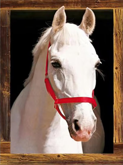 Poster sticker mural autocollant imprimée HD Cheval blanc