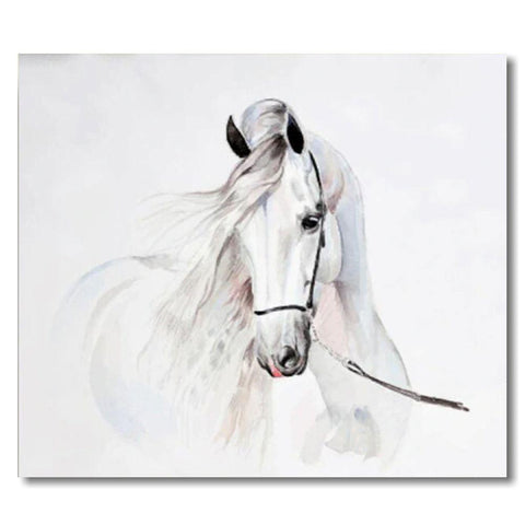 Tableau impression sur toile - Cheval blanc fond blanc - 120 x 80 cm