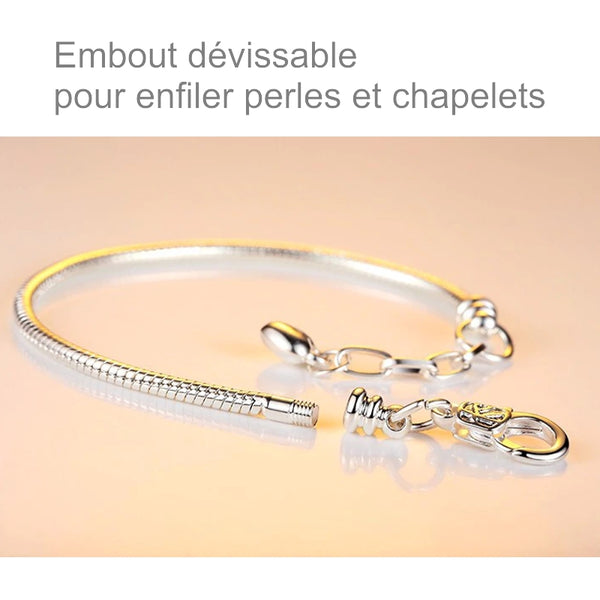 Bracelet Chaîne serpent - Petit coeur