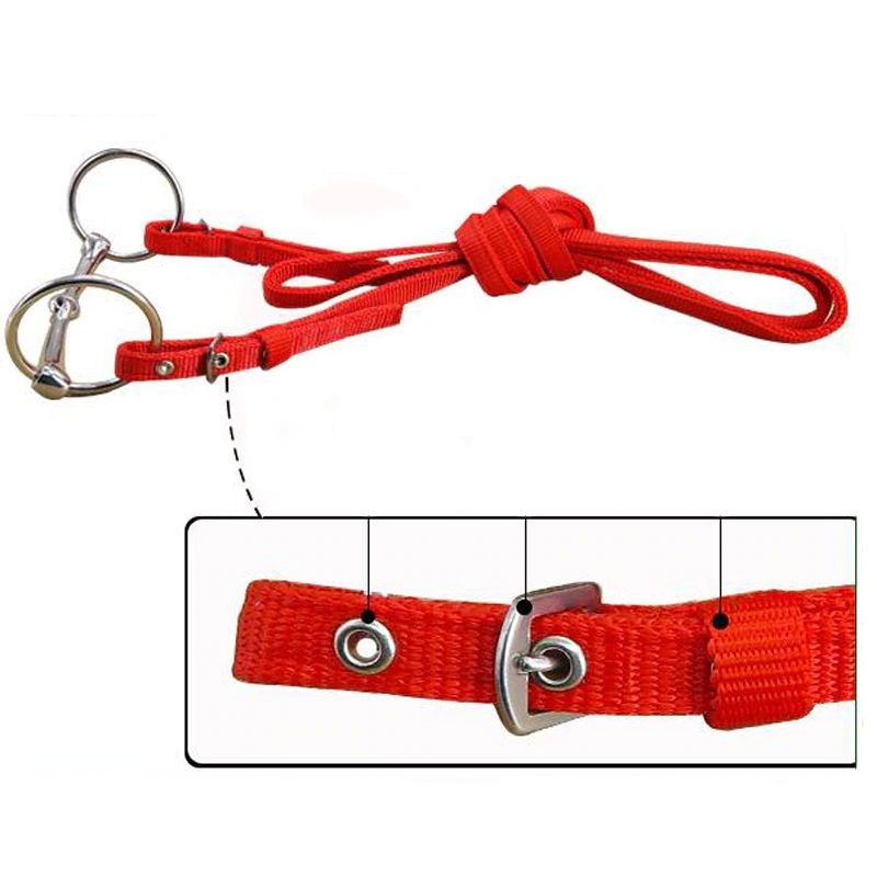 Cheval's International Western Collier de poitrine en mohair pour cheval, fait à la main en laine et cuir de qualité supérieure, réglable, durable et Cheval's International Western Collier de poitrine en mohair pour cheval, fait à la main en laine et cuir de qualité supérieure, réglable, durable et