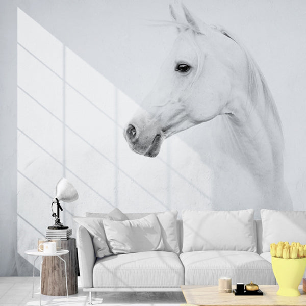 Poster mural imprimé HD - Cheval blancs fond blanc