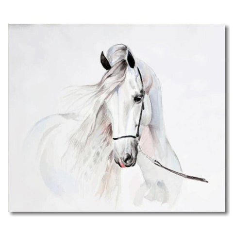 Tableau impression sur toile - Cheval blanc fond blanc