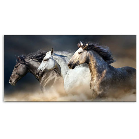 Tableau impression sur toile - trois chevaux au galop