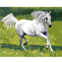 Tableau cheval dessiné à peindre soi-même avec peinture, pinceaux et encadrement